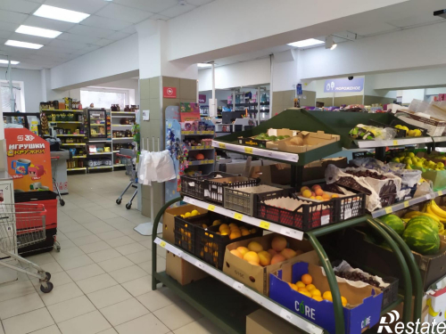 Аренда помещения Революции ул., 6