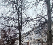 2-комн, 42кв м, этаж 5/5 Первомайская улица, 18