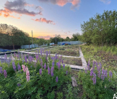 земля 9 сот проспект Ленина, 85