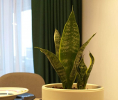 1-комн, 37кв м, этаж 7/8 ул Самоварная, 9