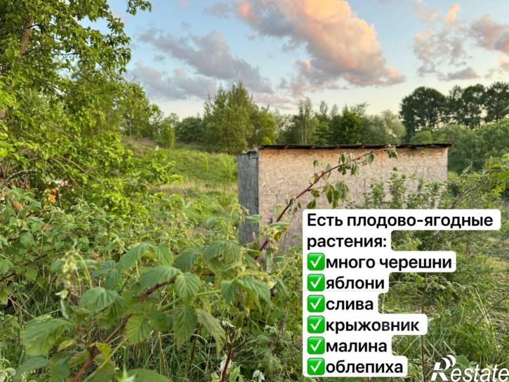 Земельный участок проспект Ленина, 85,  д. 85