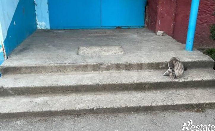 4-комн квартира Майская улица, 7,  д. 7