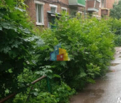 3-комн, 55кв м, этаж 3/5 улица Баженова, 14