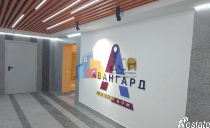1-комн квартира улица Академика Насоновой, 9Б,  д. 9Б